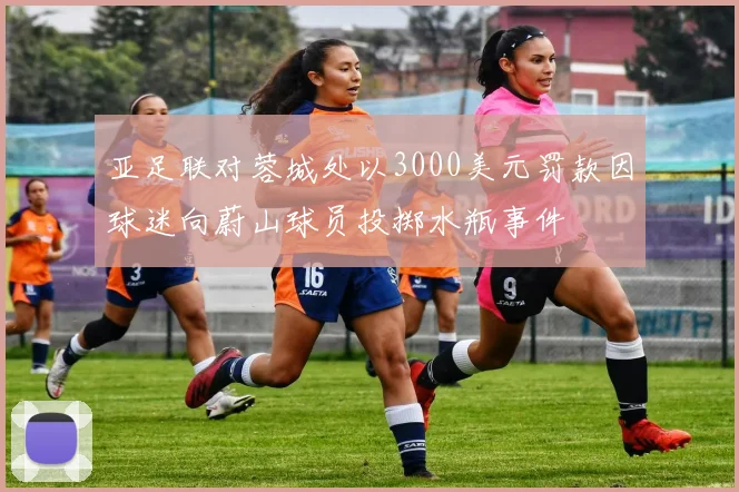 亚足联对蓉城处以3000美元罚款因球迷向蔚山球员投掷水瓶事件